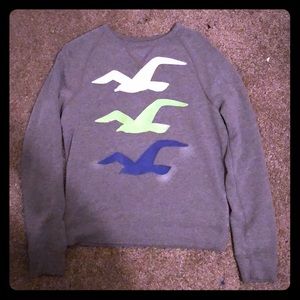Hollister Sweater